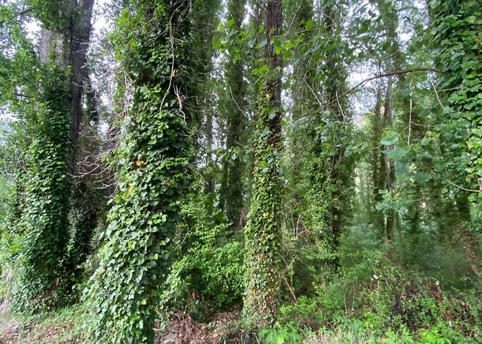 Los Arcos De Yanguas
